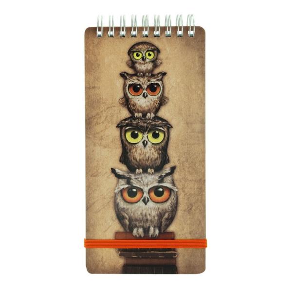 Carnet to do &160;Book OwlsCarnet ideal pentru liste de cumparaturi ganduri si idei creative decorat frumos cu tema Book OwlsDimensiuni&160;9x19x1 cm