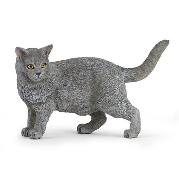 Pisica Chartreux P54040 - - Libraria CLB