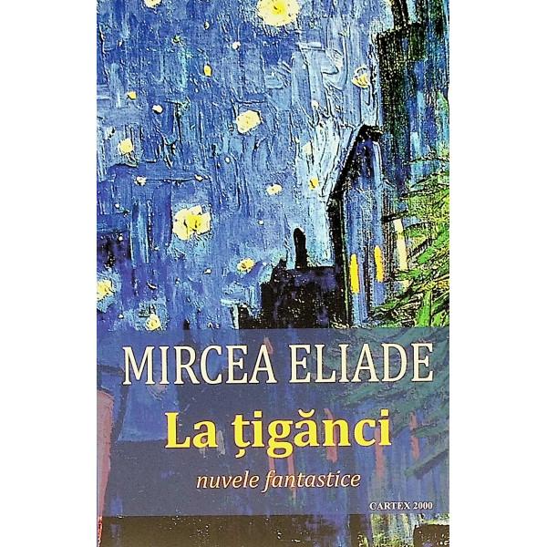 La capatul lecturii sa recapitulam motivele si elementele recurente in cele sase nuvele Se retine inainte de orice aura de mister atmosfera plina de suspans care caracterizeaza toate evenimentele sentimentele si emotiile personajelor ce par sa se afle mereu in asteptarea a ceva aflat dincolo de ele ceva ce poate sa se intample sau poate sa nu se intample si care in orice caz le va proiecta intr-un alt plan ontologicAceasta atitudine are in mod firesc implicatii in ceea 