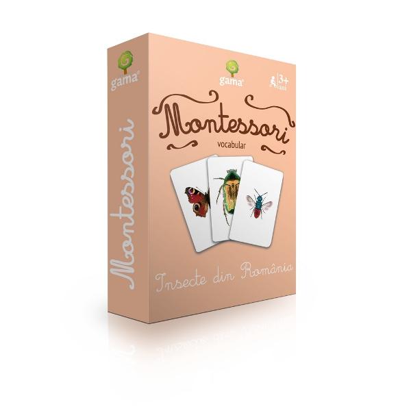 Insecte din Romania Carti de joc educative Montessori Seria 4