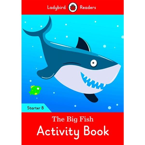 The big fish activity book starter b