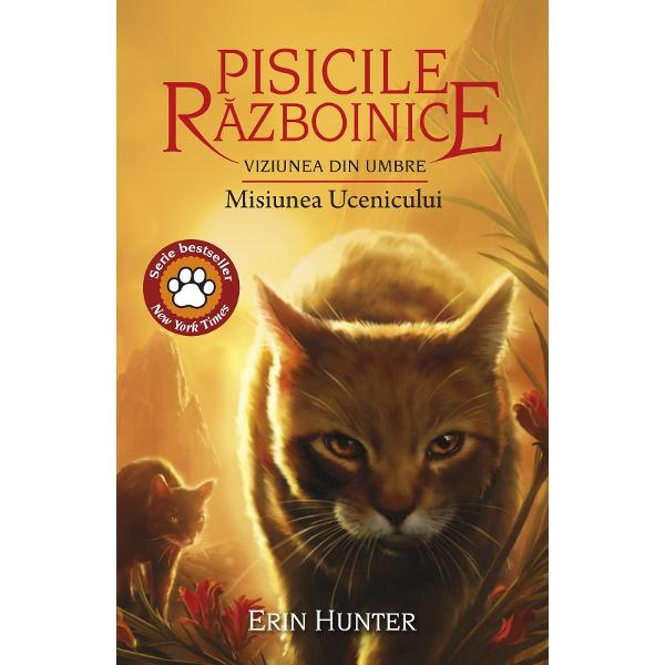 Primul roman dintr-o serie nou&259; enigmatic&259;Misiunea Ucenicului deschide seria a &537;asea Viziunea din umbre care surprinde aventurile fantastice ale noii genera&539;ii de pisici în încercarea de a salva viitorul clanurilorA venit timpul pentru o nou&259; profe&539;ie De aceast&259; dat&259; pisicile din s&259;lb&259;ticie se g&259;sesc în fa&539;a 