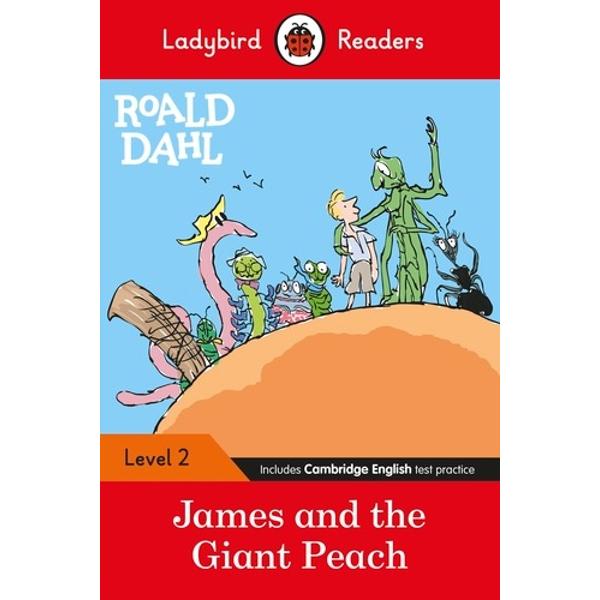 Ladybird Readers is an ELT graded reader series for children aged 3­-11 learning English as a foreign or second language The series includes traditional tales favourite characters modern stories and non-fiction Written by experts it uses proven methods to help children learn English and grasp key grammar and vocabulary 