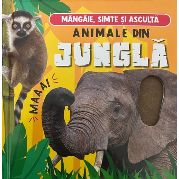 Animale din jungla - Mangaie simte si asculta
