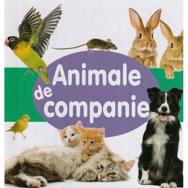 O minunata carte frumos ilustrata cu ajutorul careia copiii vor invata mai usor numele animalelor de companie 