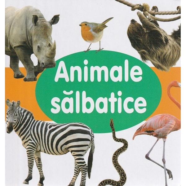 O minunata carte frumos ilustrata cu ajutorul careia copiii vor invata mai usor numele animalelor de salbatice 