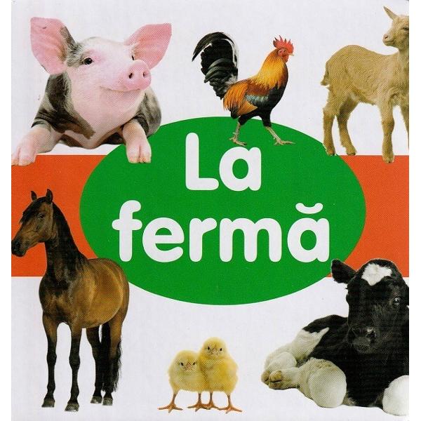 O minunata carte frumos ilustrata cu ajutorul careia copiii vor invata mai usor animalele si activitatile de la ferma 