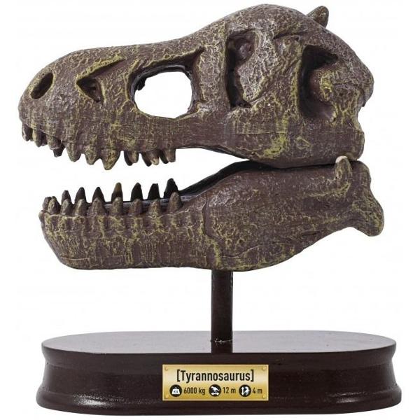 Trusa de cercetare Muzeul Buki - Craniu T-Rex BK2130