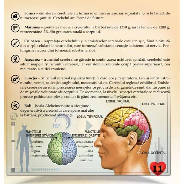 Prima mea enciclopedie Corpul uman ii familiarizeaza pe copii cu partile corpului functiile organelor si modul lor de functionare O carte deosebit de utila pentru copii La final contine un vocabular care contine cuvintele intalnite pe parcursul intregii enciclopedii  Recomandare de vârst&259; 3 ani  Un trailer al acestei c&259;r&539;i 